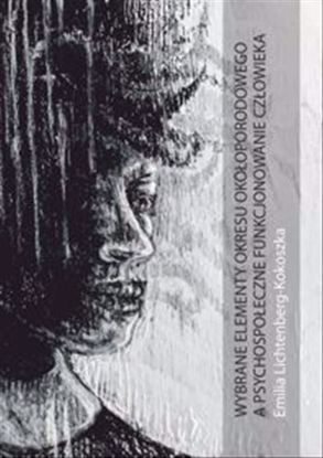 Obrazek Wybrane elementy okresu okołoporodowego a psychospołeczne funkcjonowanie człowieka (Studia i monografie nr 617)